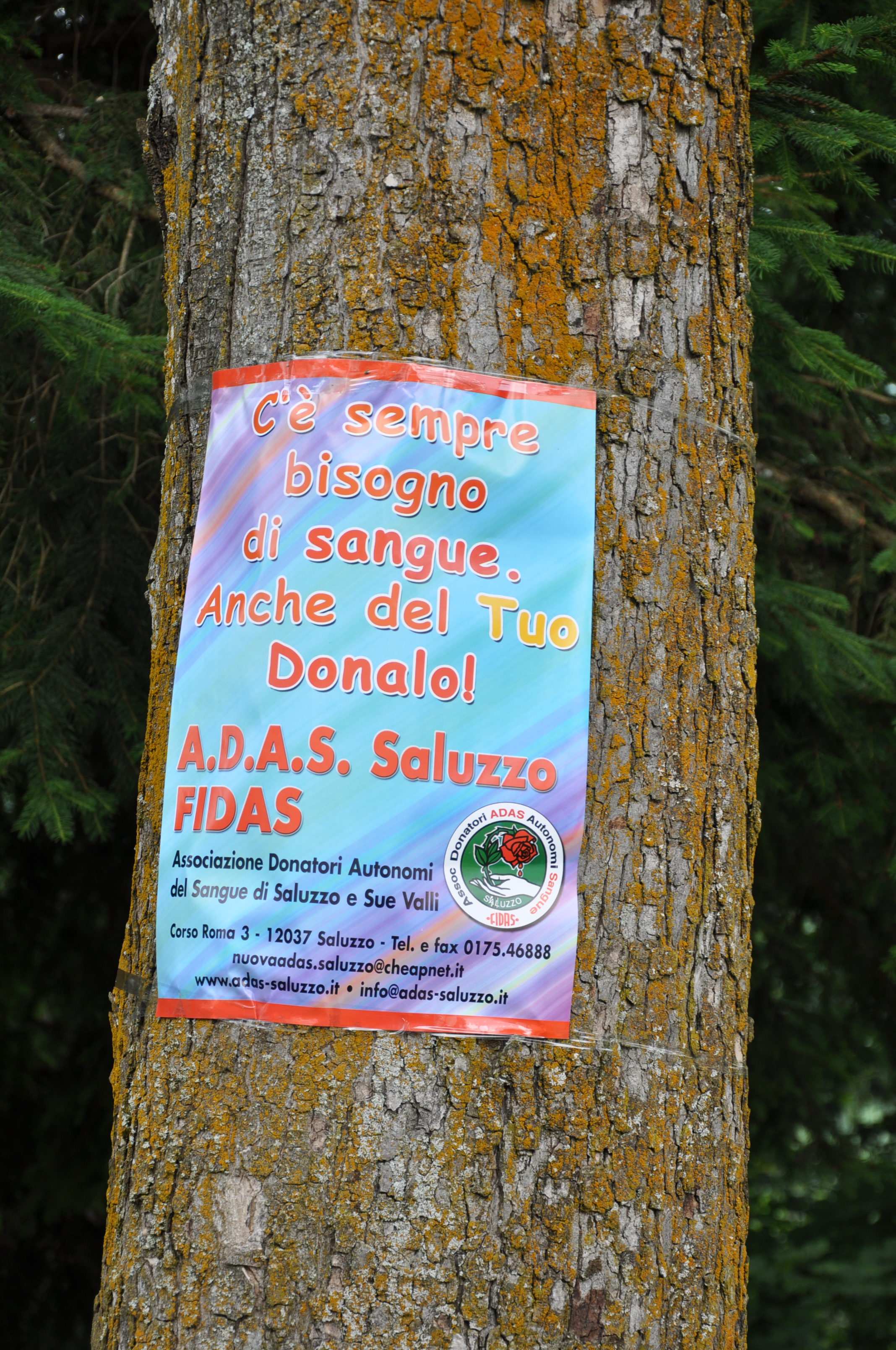 Donazione sangue Sanfront domenica 4 ottobre